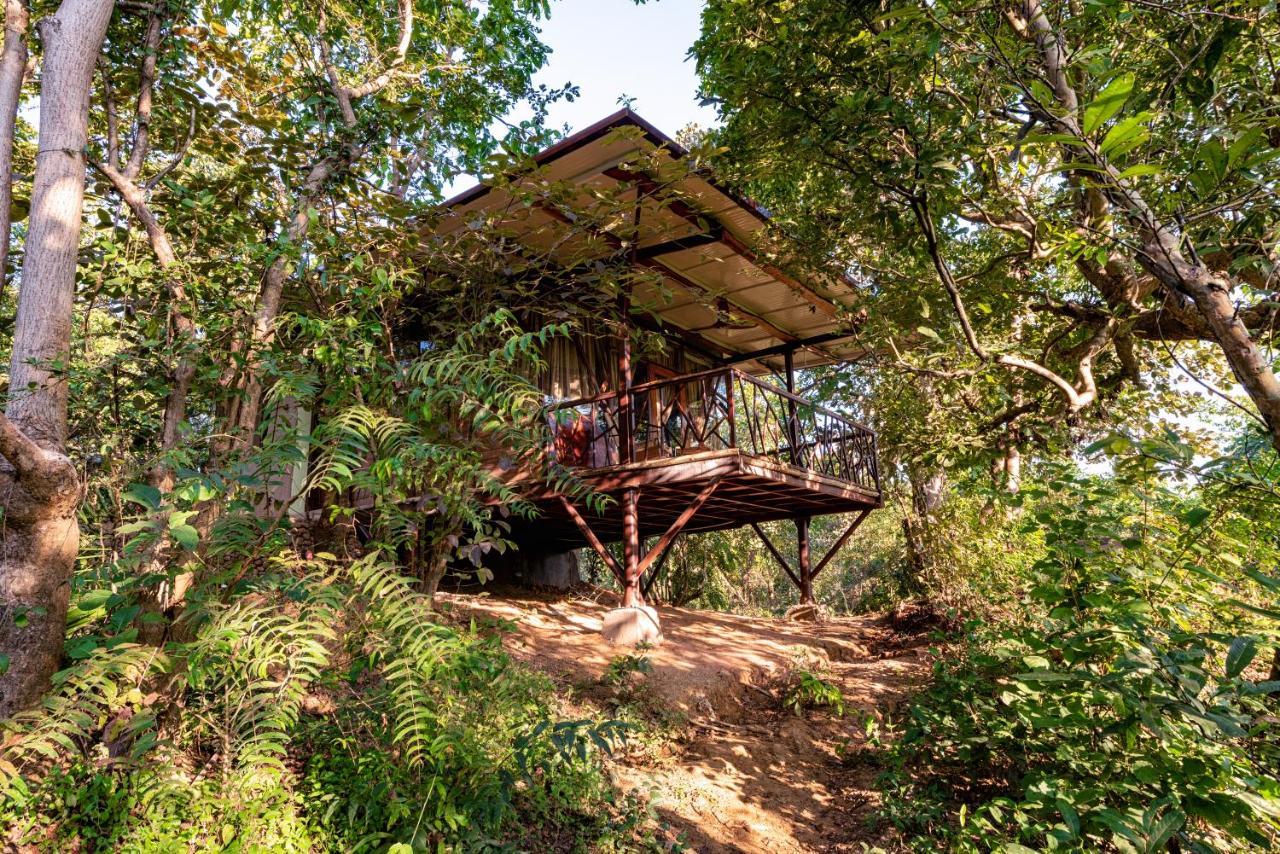 Kanha Jungle Camp Екстер'єр фото