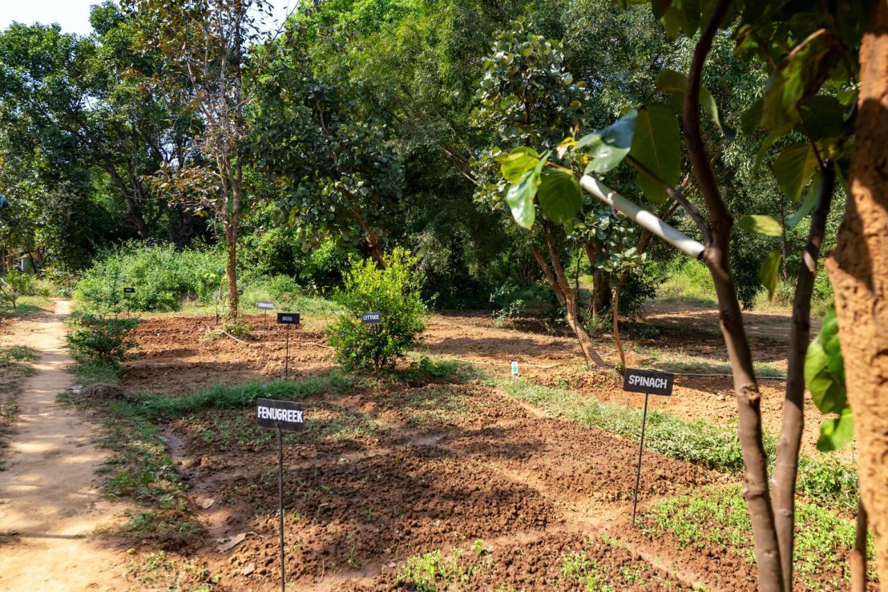 Kanha Jungle Camp Екстер'єр фото