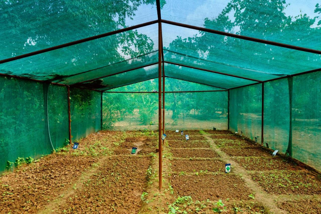 Kanha Jungle Camp Екстер'єр фото