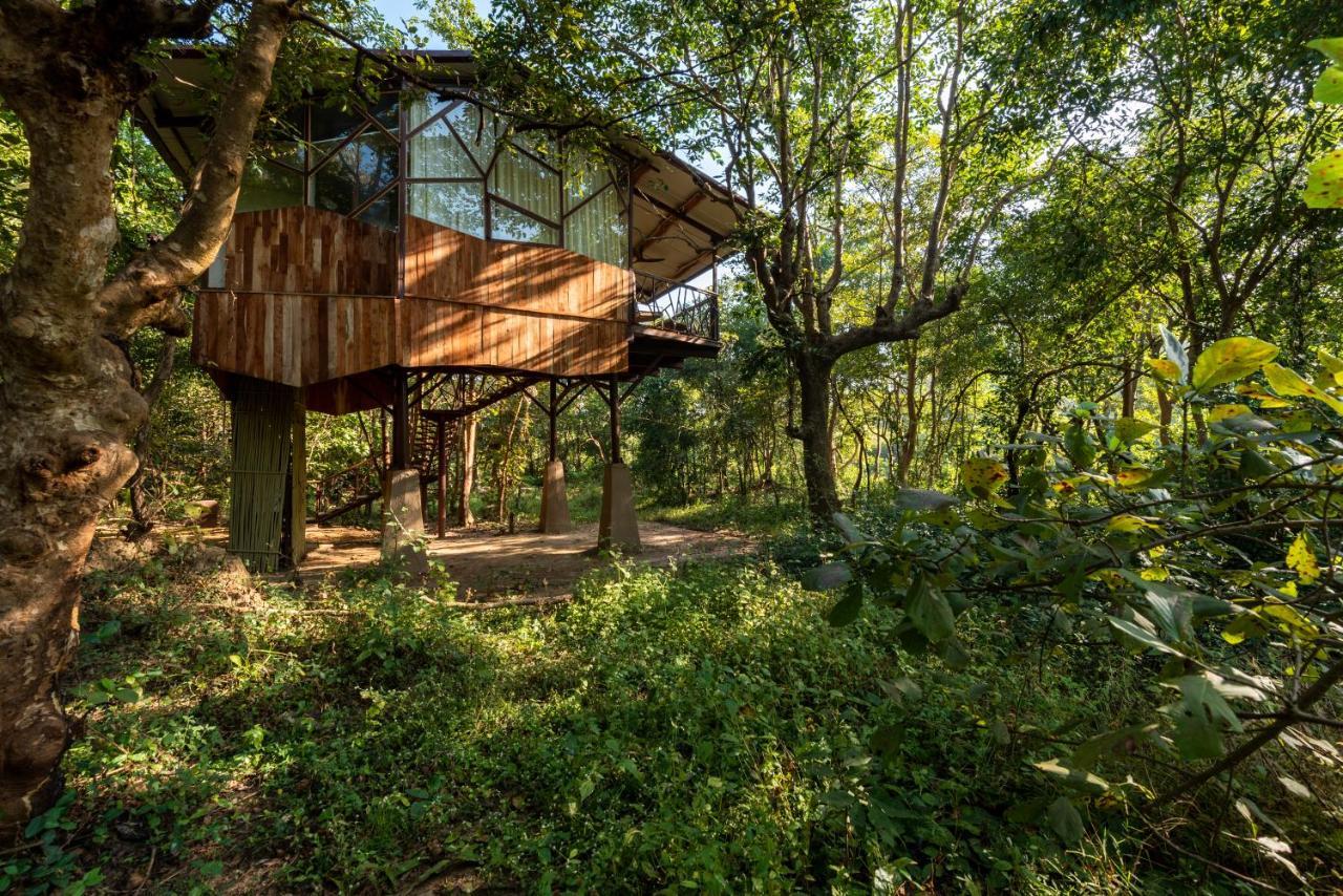Kanha Jungle Camp Екстер'єр фото